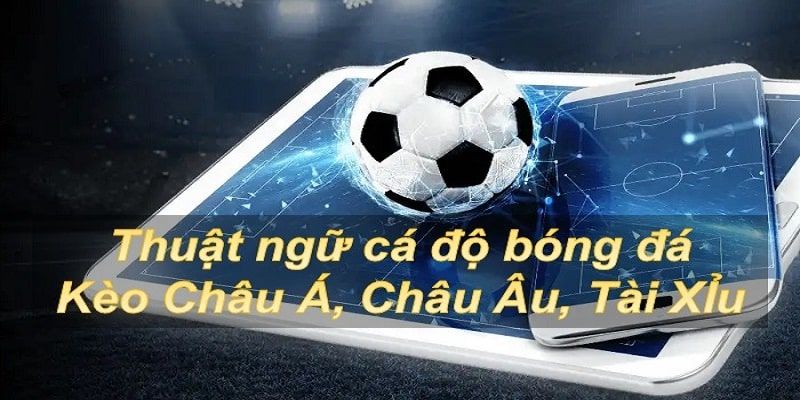 Thuật ngữ cá độ bóng đá trong các kèo cược chính