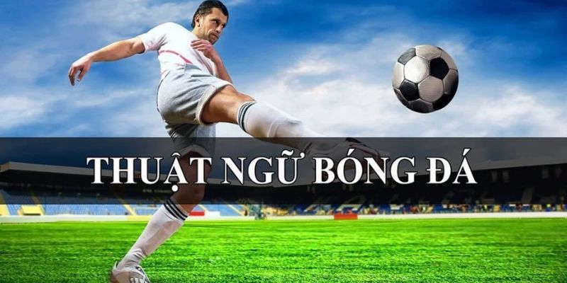 Thuật Ngữ Cá Độ Bóng Đá – Kiến Thức Người Chơi Cần Biết