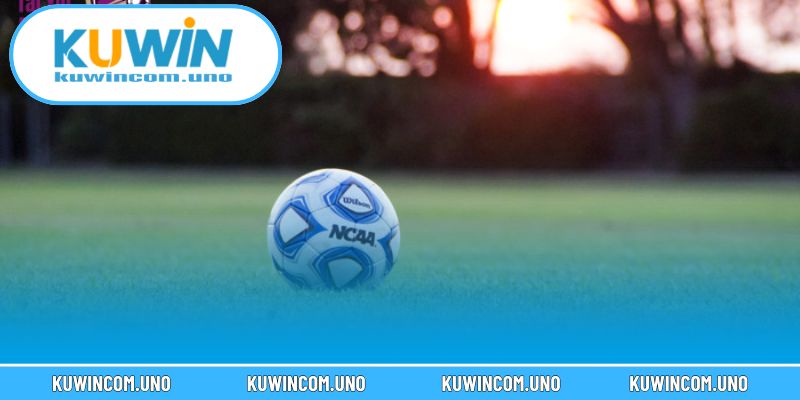 Cược Xâu - Khám Phá Chiến Lược Cá Cược Đa Trận Hiệu Quả 3 Đặc điểm cơ bản của cược xâu