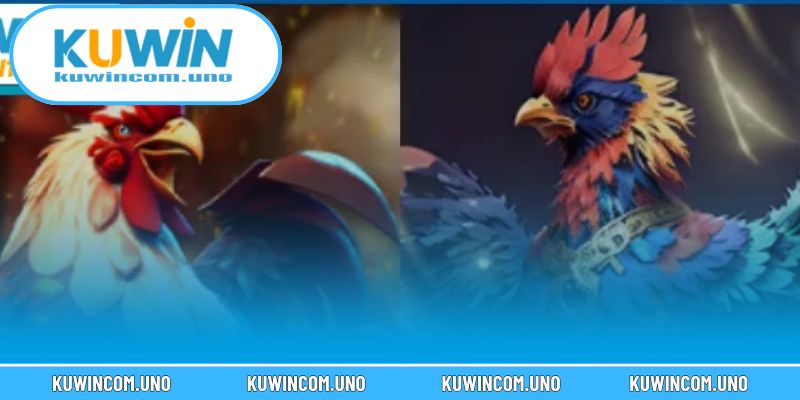  Đá gà KUWIN tái hiện sới gà chân thực ngay trên màn hình