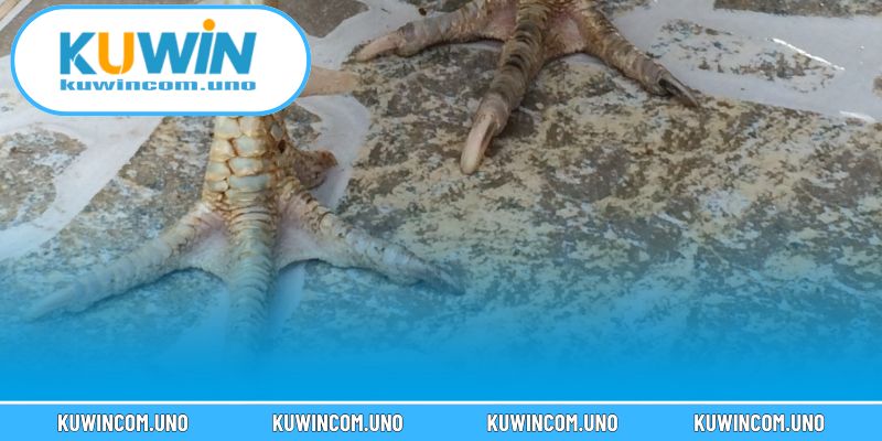 Cần chế độ dinh dưỡng cân bằng, đủ protein và vitamin