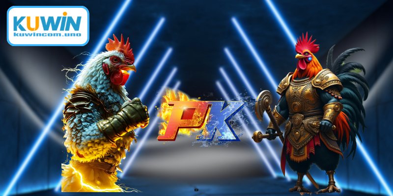 Lợi ích khi theo dõi đấu gà Thomo